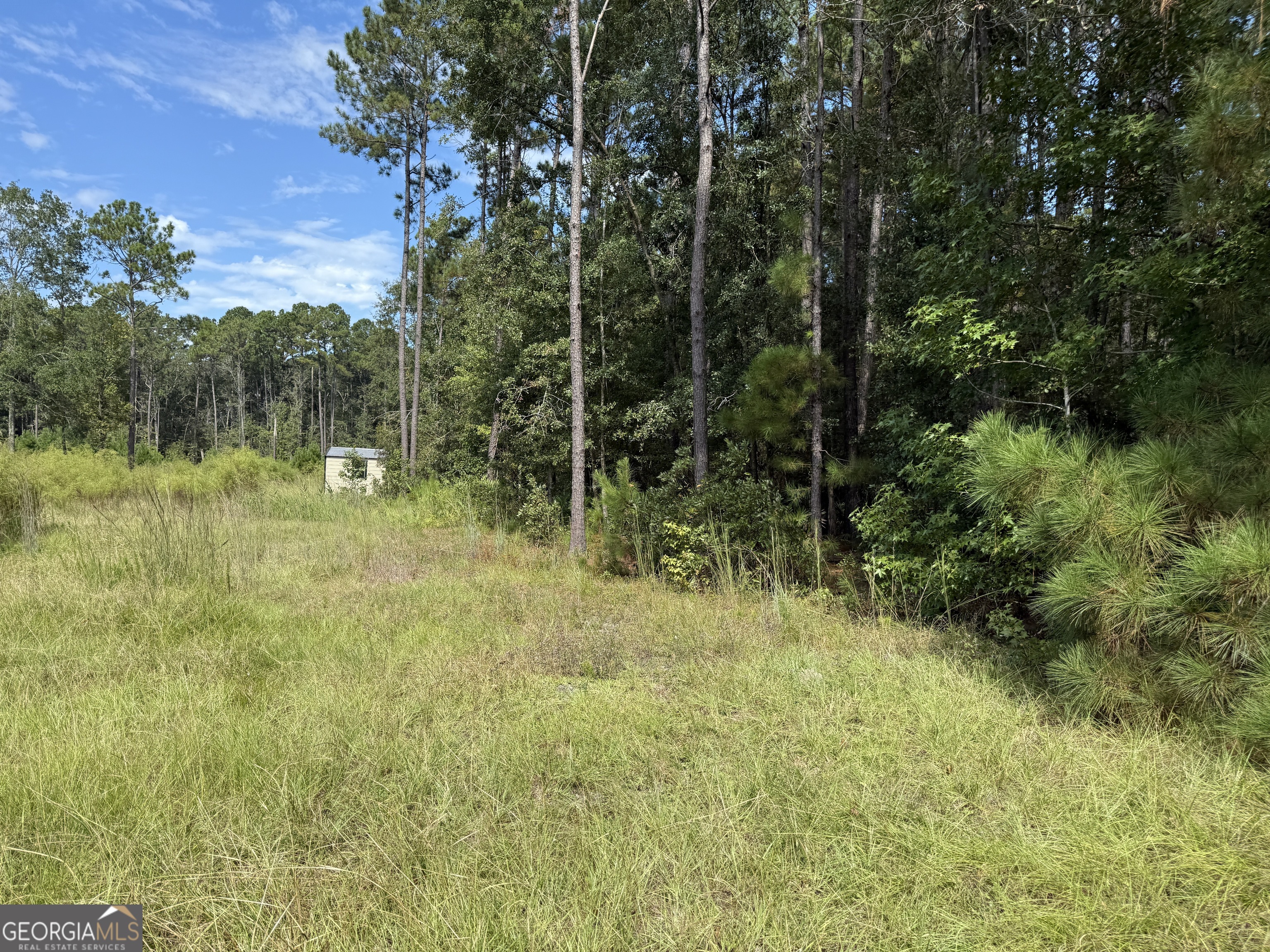 124 Oak Street Rincon, GA 31326 - Photo 6 of 10 a view of a garden