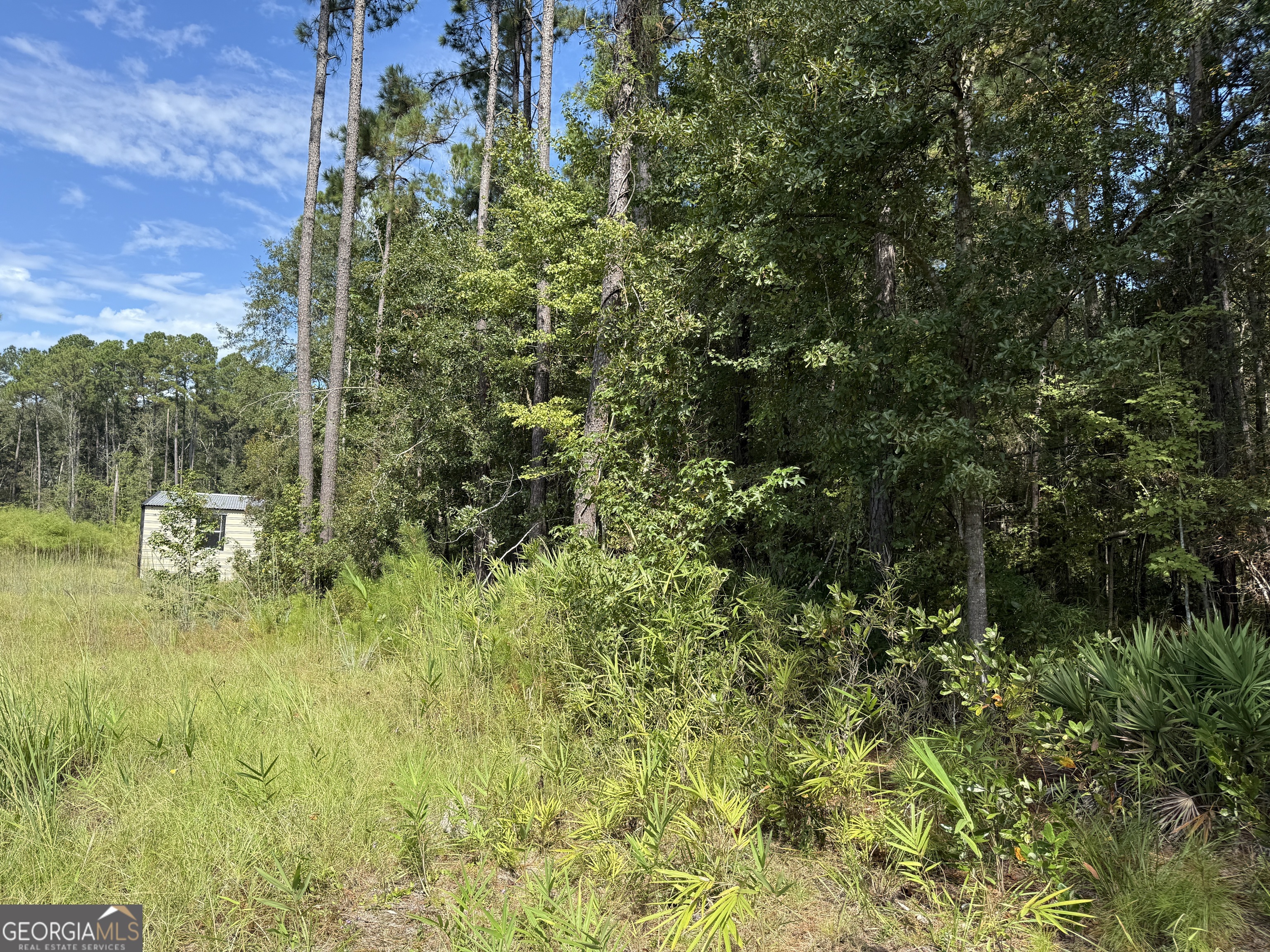 124 Oak Street Rincon, GA 31326 - Photo 7 of 10 a view of a garden