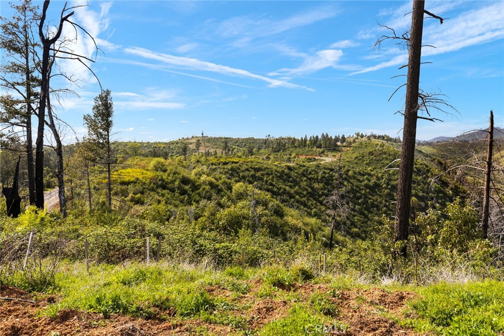 4961 Big Bend Road Oroville, CA 95965 - Photo 25 of 30