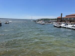 123 Center Street, Unit 203 Lake Geneva, WI 53147 - Photo 23 of 26 20240606163100984184000000