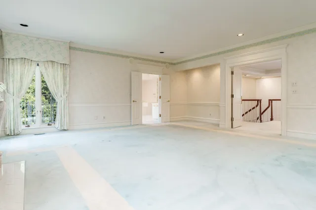 a view of a forest with a tree