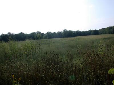 3 Runyon Road Buchanan, MI 49107 - Photo 1 of 1 Primary Photo