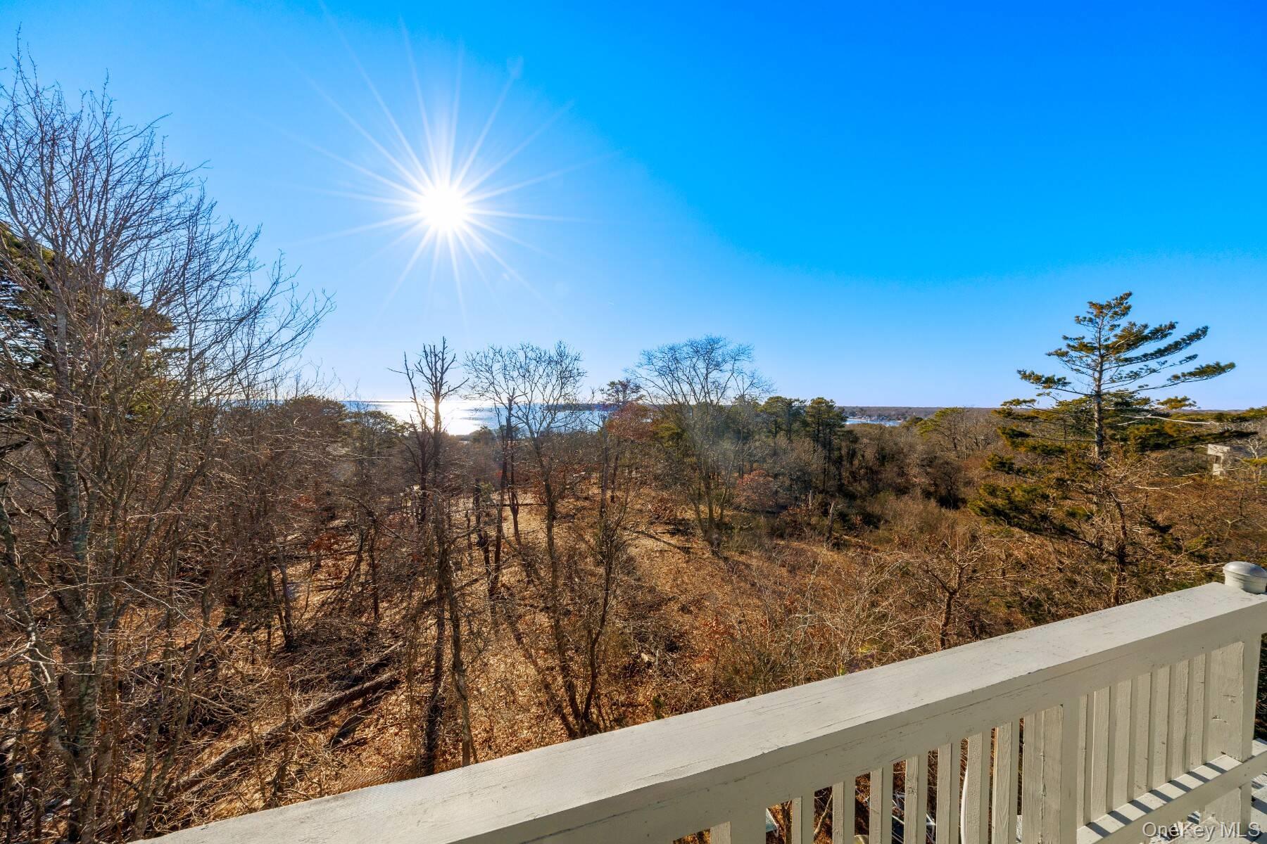 32 Old Canoe Place Road Hampton Bays, NY 11946 - Photo 10 of 12 a view of a city from a balcony