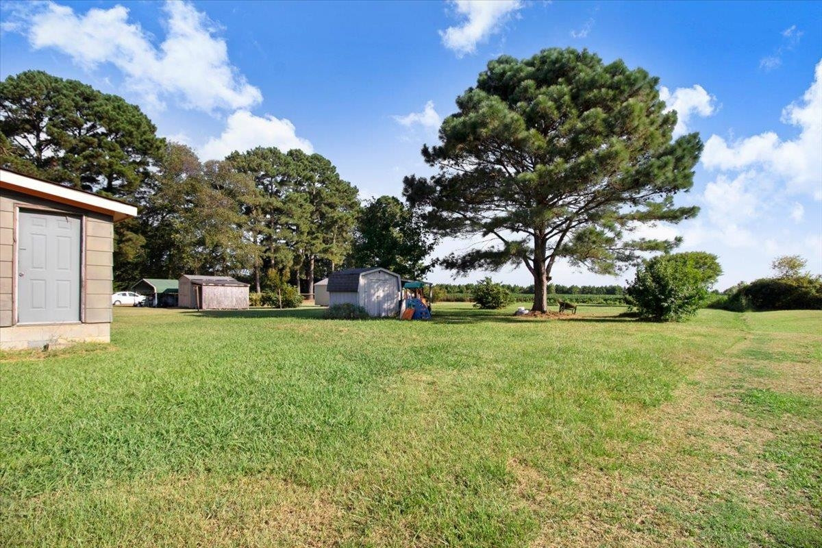 132 West Pine Forest Road Mount Olive, NC 28365 - Photo 3 of 19 Photo 3