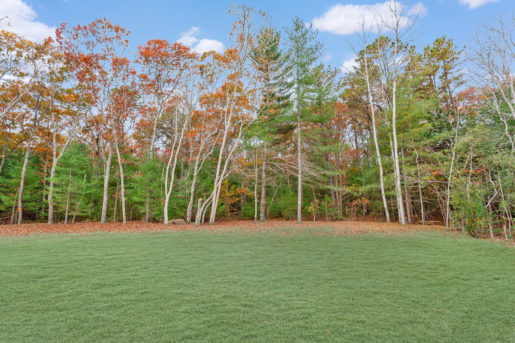 99 Orchard Road Mashpee, MA 02649 - Photo 36 of 49 a garden view