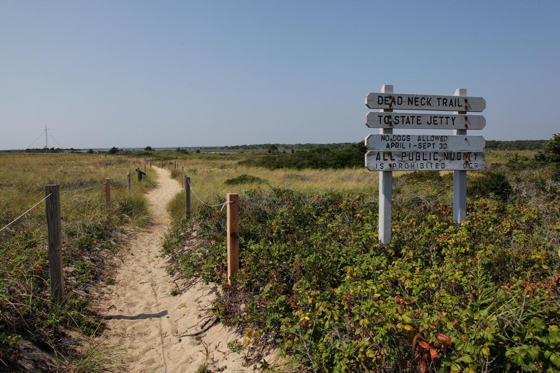 99 Orchard Road Mashpee, MA 02649 - Photo 44 of 49 a view of a lake