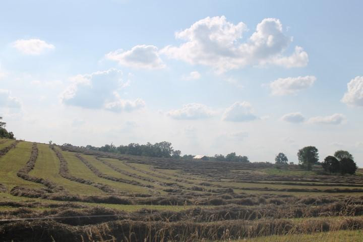 2730 Millersburg Ruddles Mill Road Paris, KY 40361 - Photo 1 of 16 Photo 1