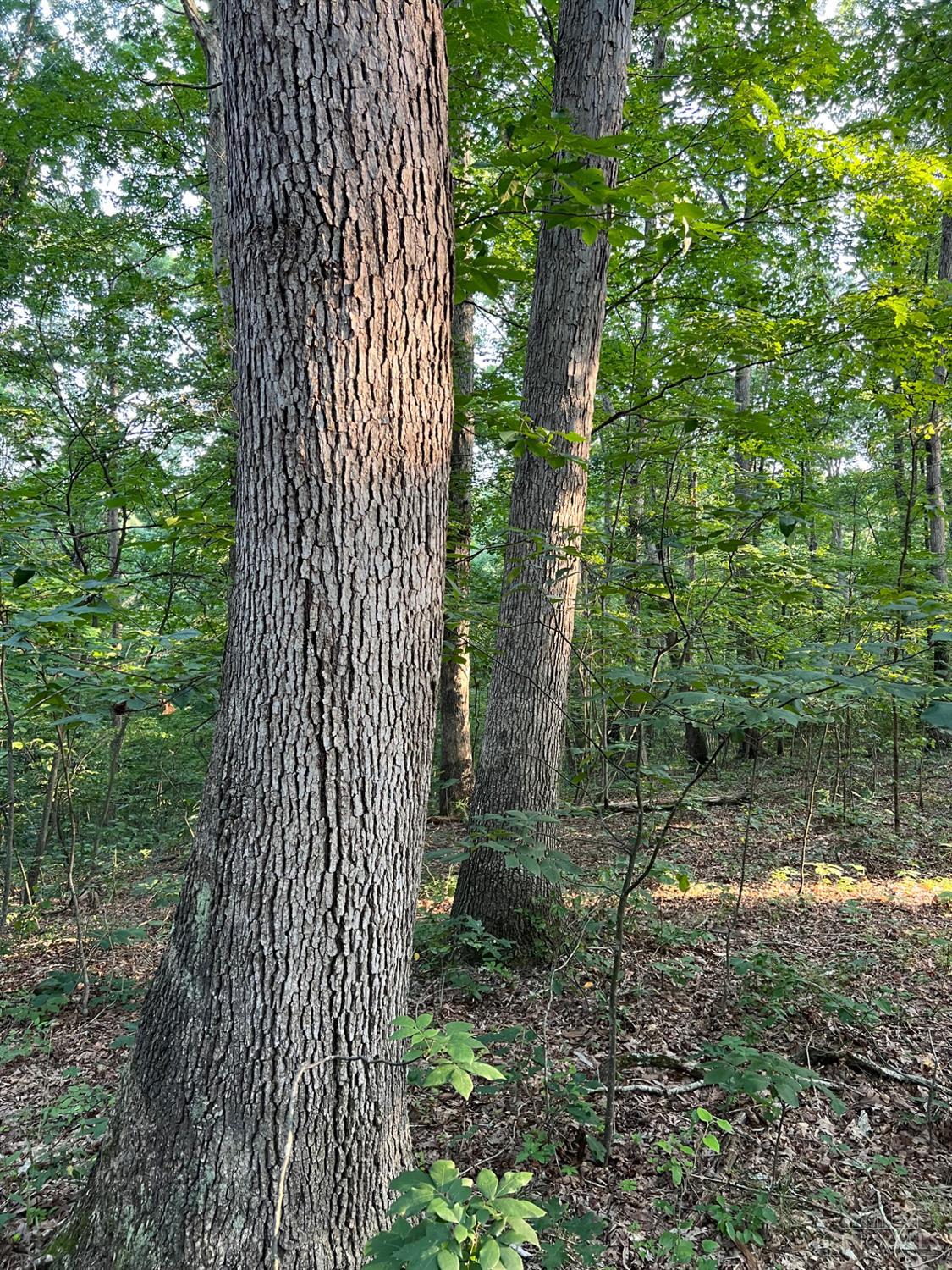 0 Tabernacle Road Chillicothe, OH 45601 - Photo 43 of 64