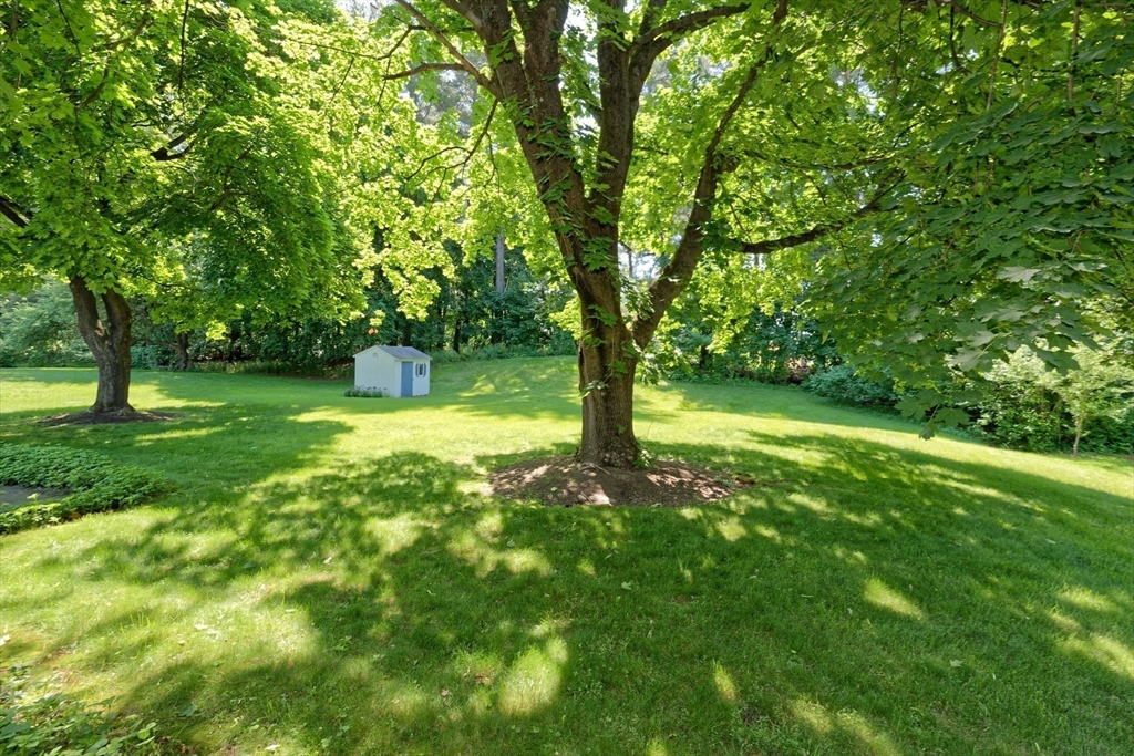 21 Terri Road Framingham, MA 01701 - Photo 31 of 37 Gallery Image 31
