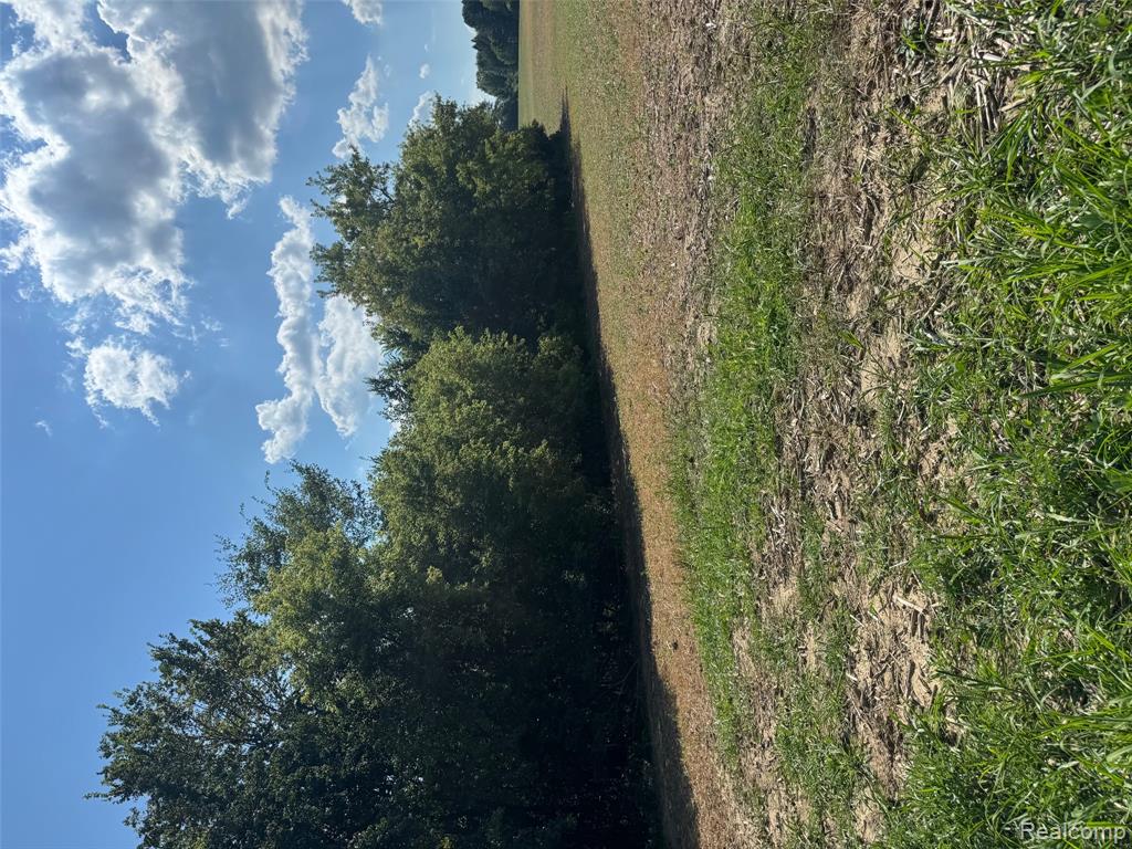 Vl South Mill Road Dryden, MI 48428 - Photo 7 of 13