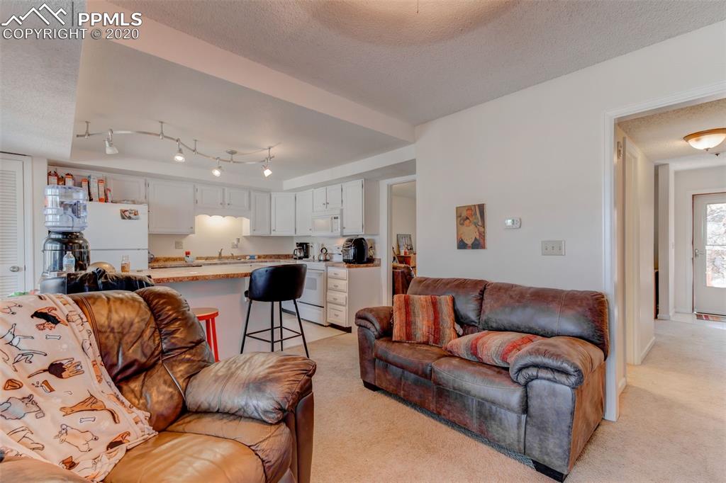 402 Raspberry Lane Monument, CO 80132 - Photo 34 of 35