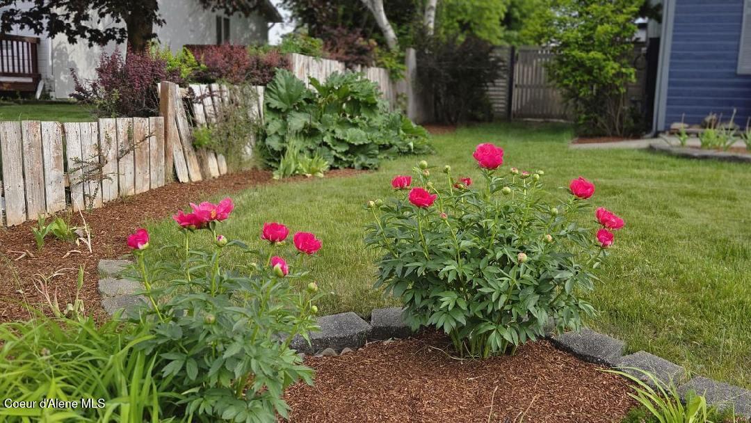 7554 West Robin Road Rathdrum, ID 83858 - Photo 33 of 33 Peonies