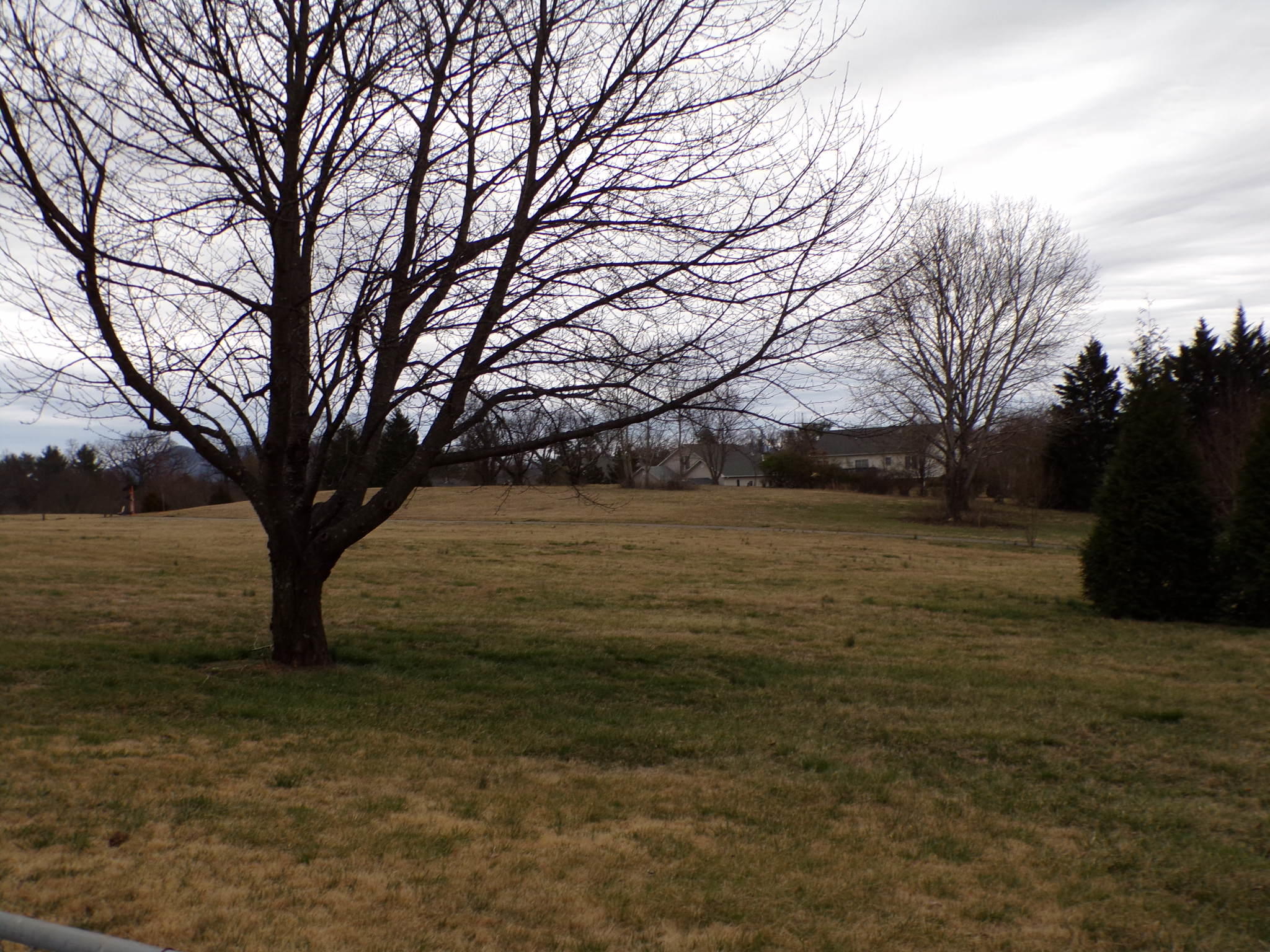 2229 Ranch Road Northwest Roanoke, VA 24017 - Photo 22 of 37 a view of outdoor space with deck and tree
