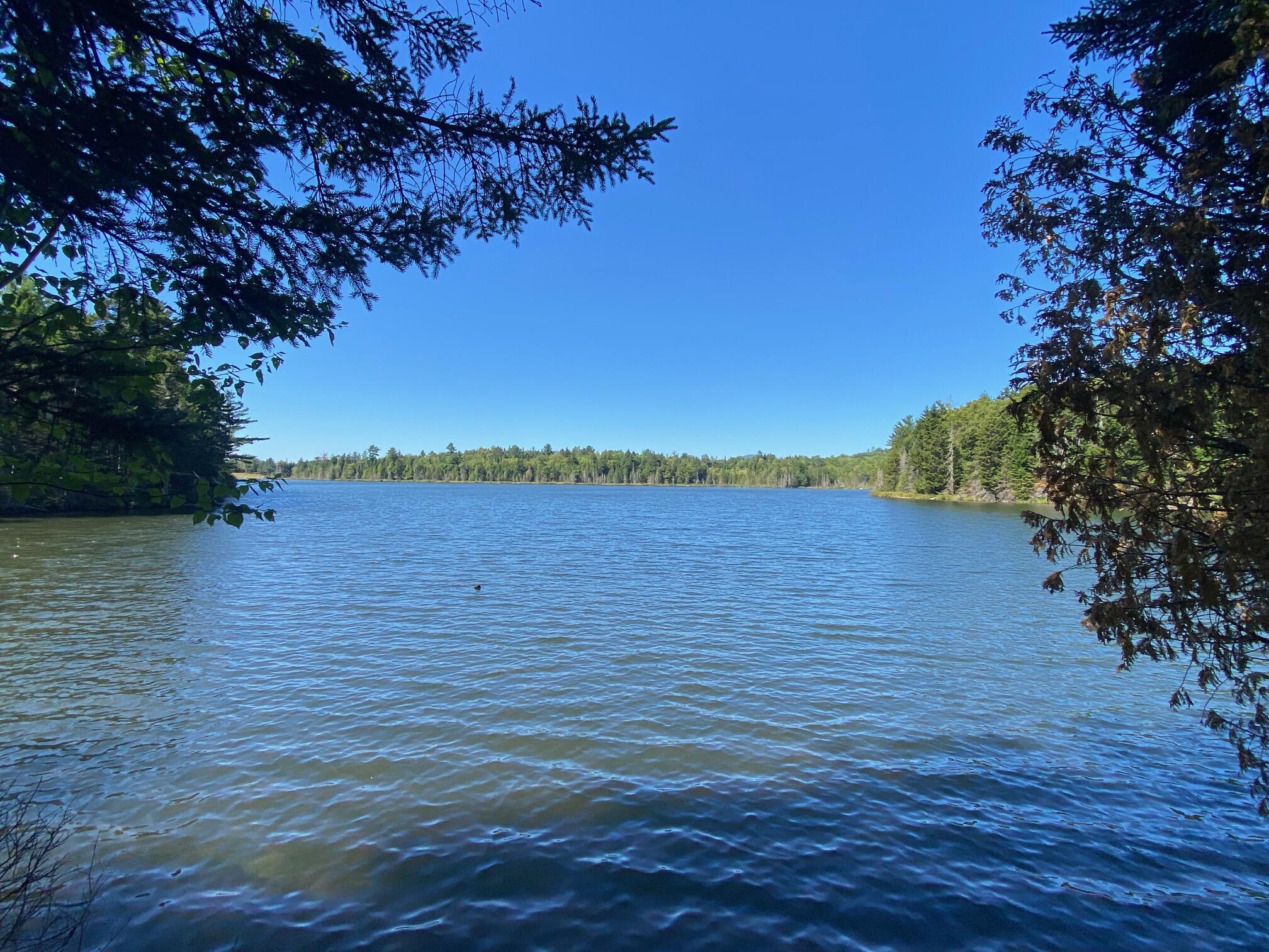 61 Sawyer Pond Highlands Road Greenville, ME 04441 - Photo 13 of 63 IMG_3845