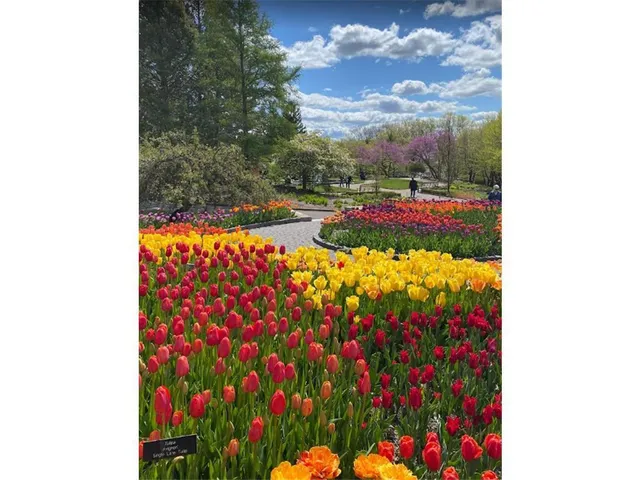 $709,114 | 3744 Brookside Drive, Chaska, MN 55318