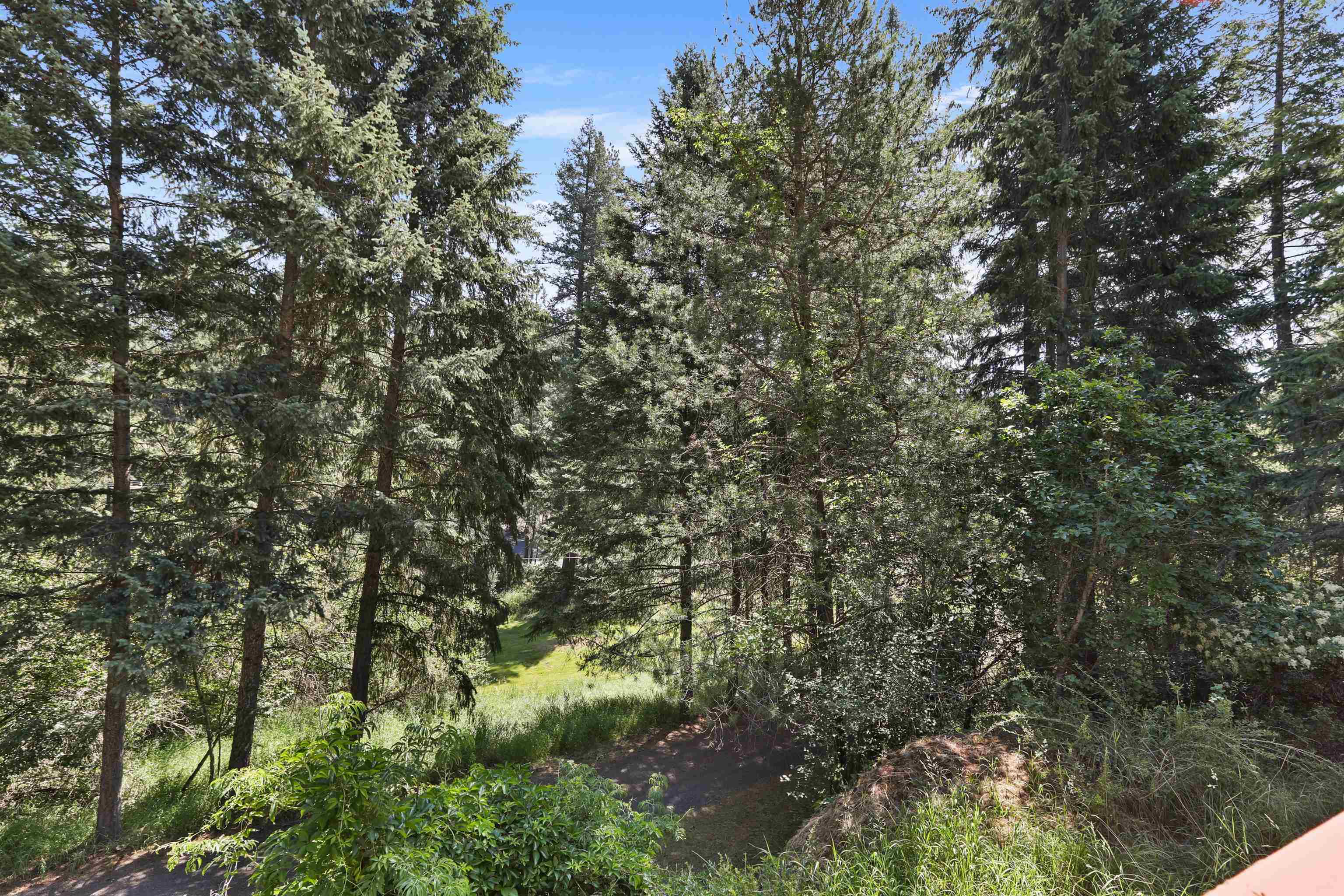 17221 North Little Spokane Drive Colbert, WA 99005 - Photo 24 of 29