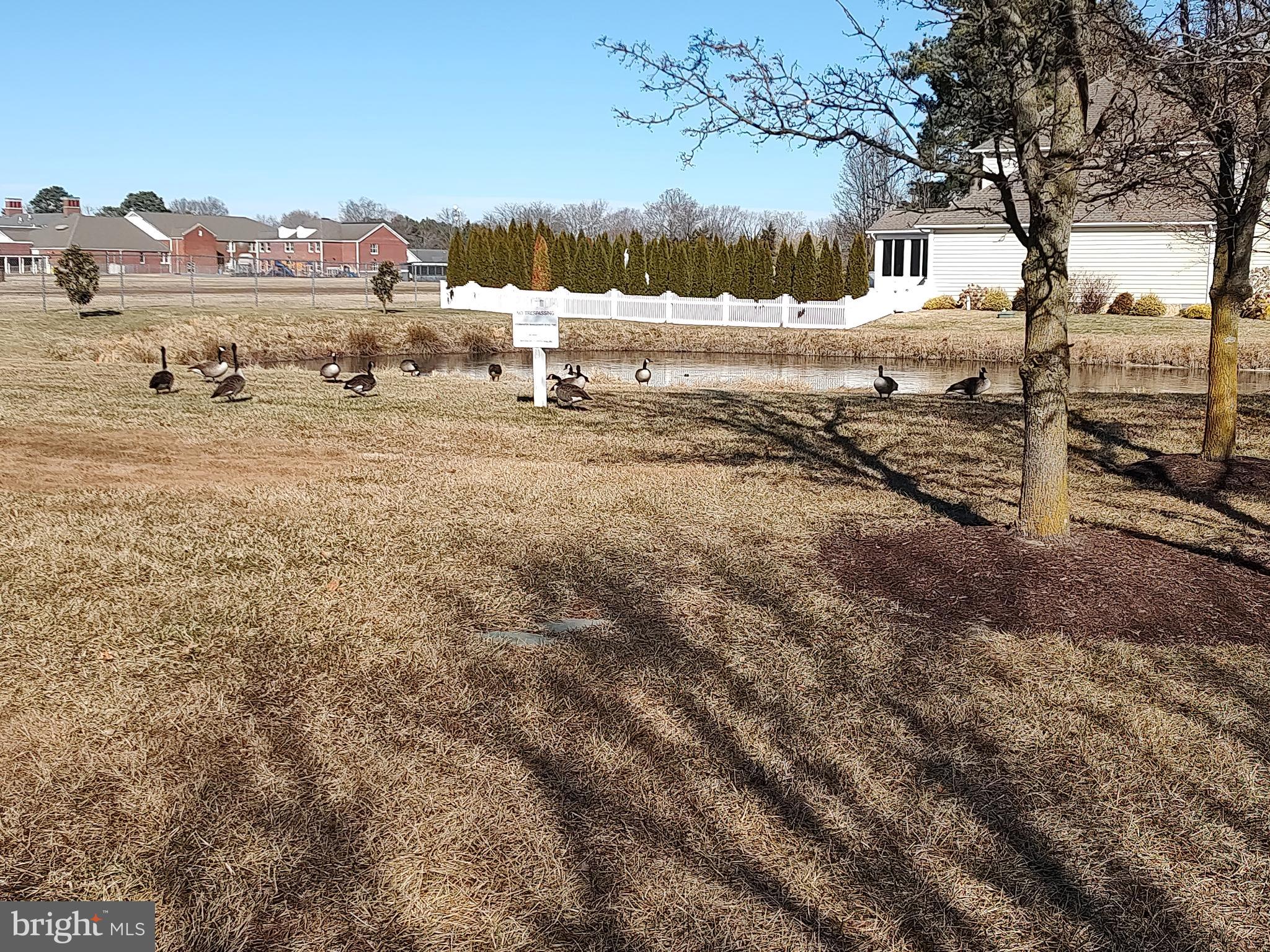 27 Bayberry Street Georgetown, DE 19947 - Photo 44 of 45