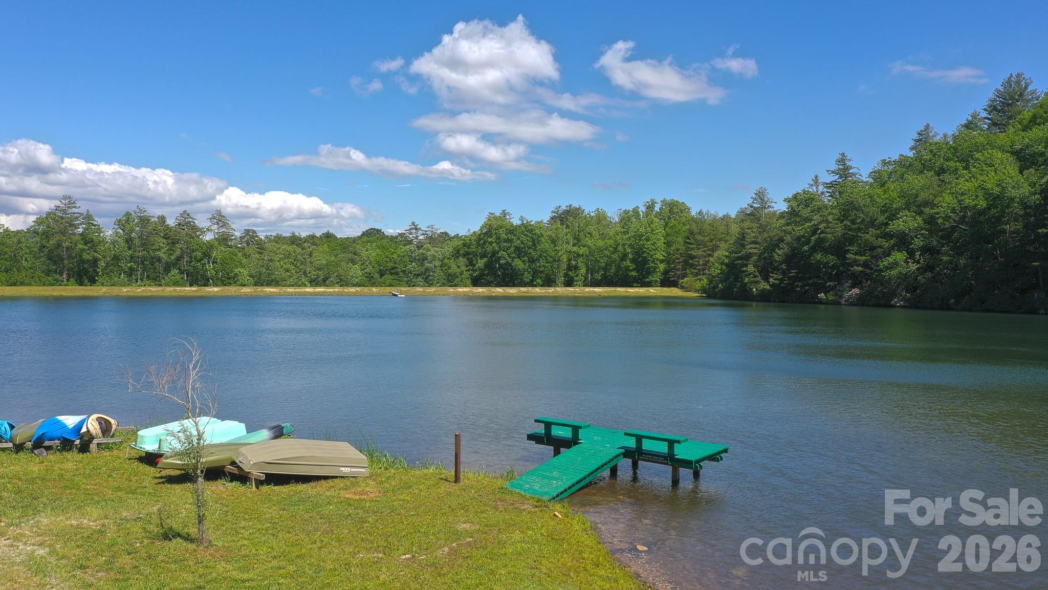 Tbd Pine Point Road Spruce Pine, NC 28777 - Photo 17 of 27