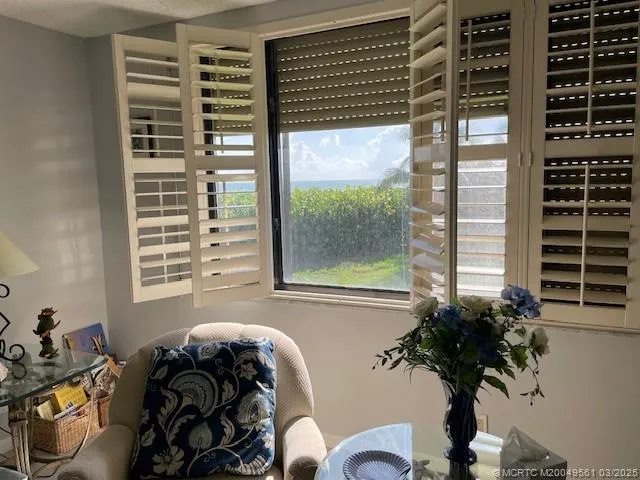 a living room filled with furniture and a potted plant