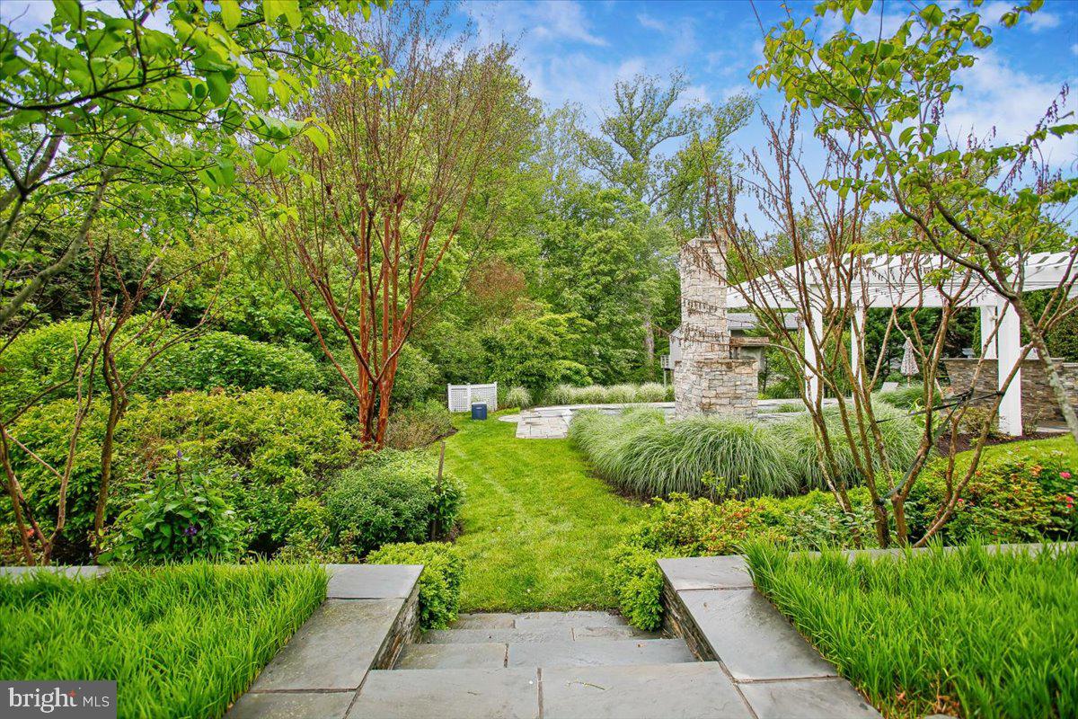 6809 Sorrel Street McLean, VA 22101 - Photo 87 of 101 a view of a back yard