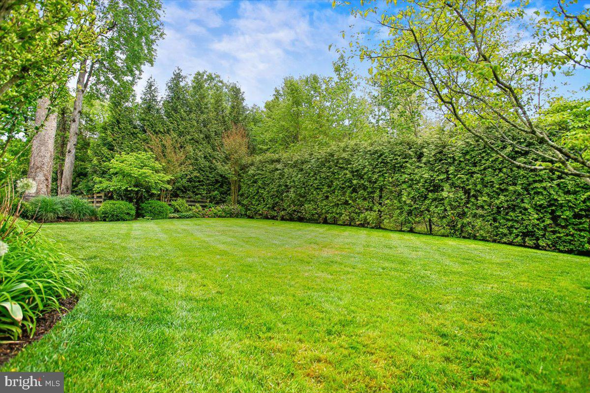 6809 Sorrel Street McLean, VA 22101 - Photo 88 of 101 a view of a yard with a trees