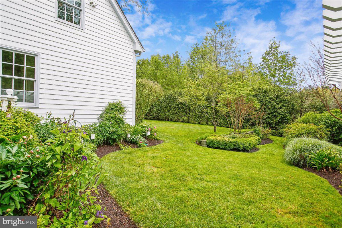 6809 Sorrel Street McLean, VA 22101 - Photo 89 of 101 a view of a backyard with plants