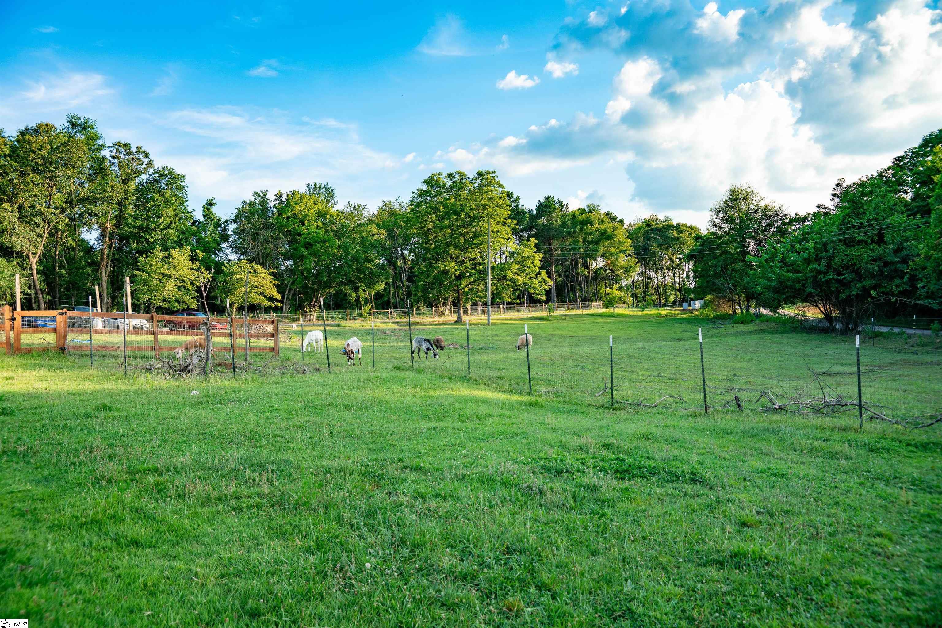 415 Ware Road Chesnee, SC 29323 - Photo 3 of 36