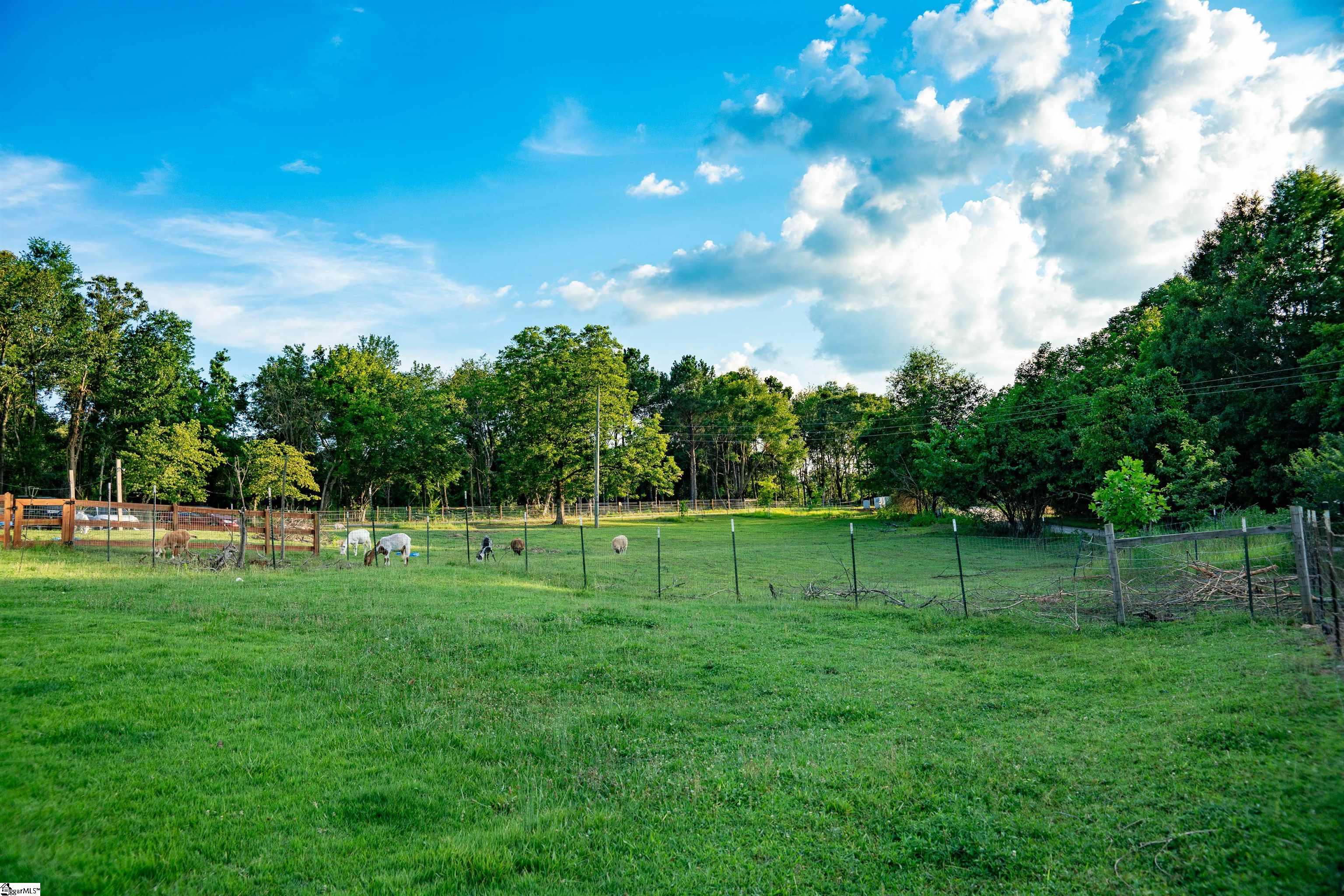 415 Ware Road Chesnee, SC 29323 - Photo 4 of 36