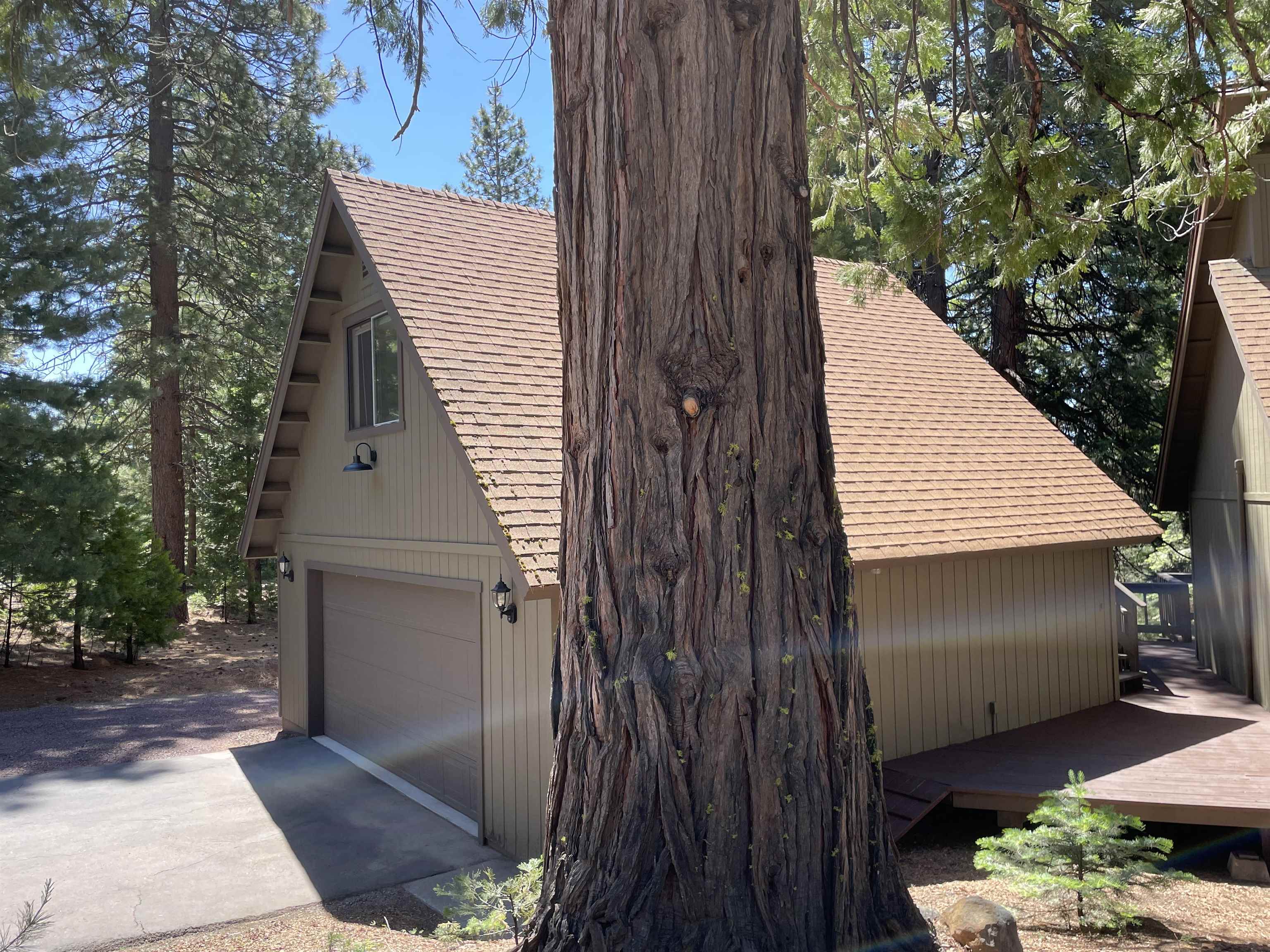 603 East Burnt Cedar Road Lake Almanor, CA 96137 - Photo 4 of 33 a view of backyard of the house
