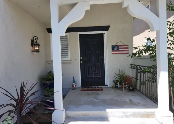 a couple of potted plants in front of door