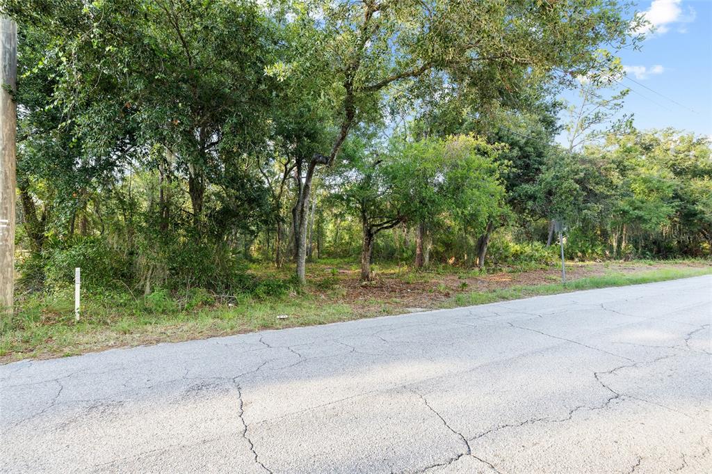 Lake Le Clare Road Lutz, FL 33558 - Photo 13 of 17