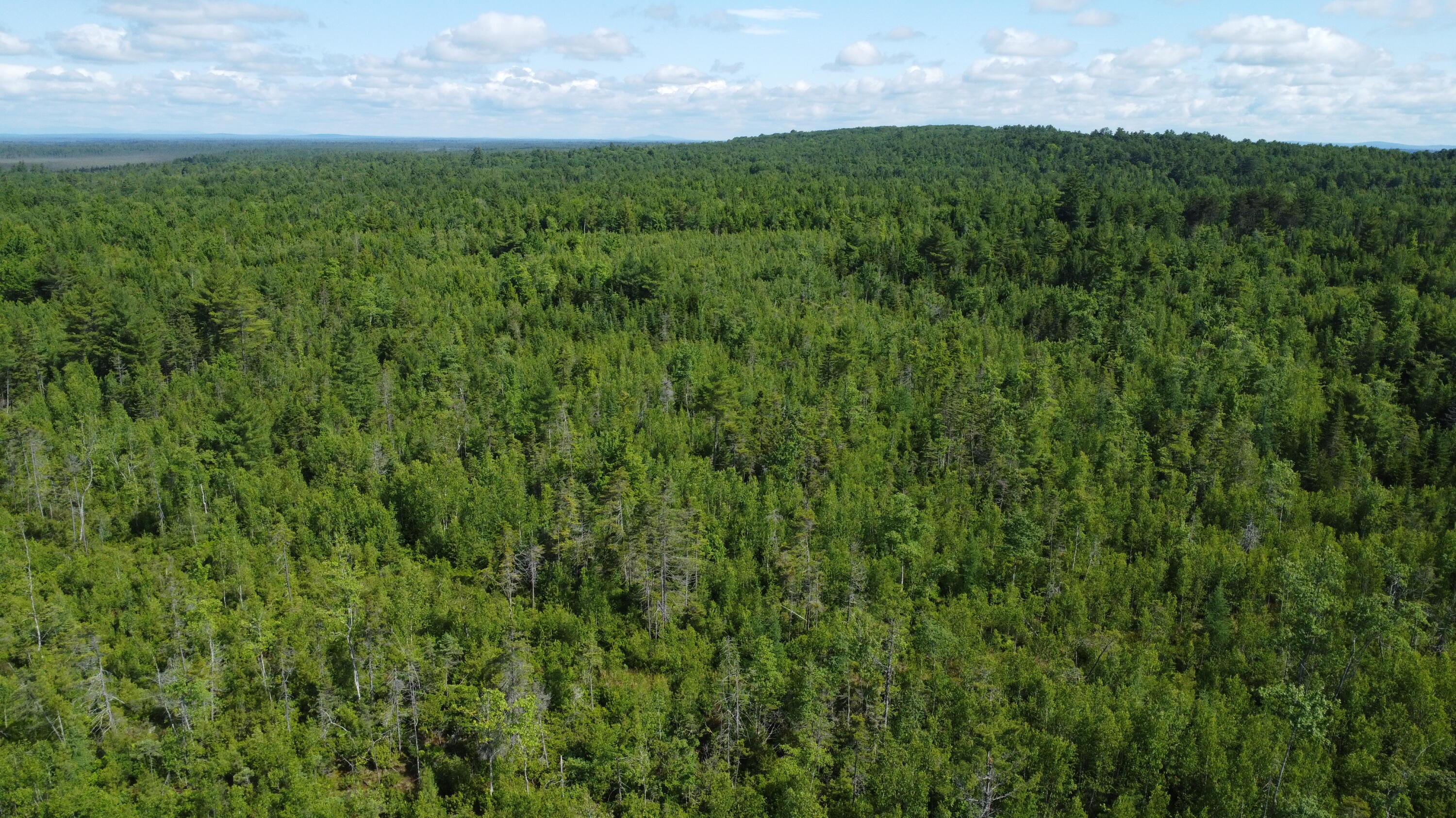 30-007 Cardville Road Greenbush, ME 04418 - Photo 8 of 19 DJI_0068