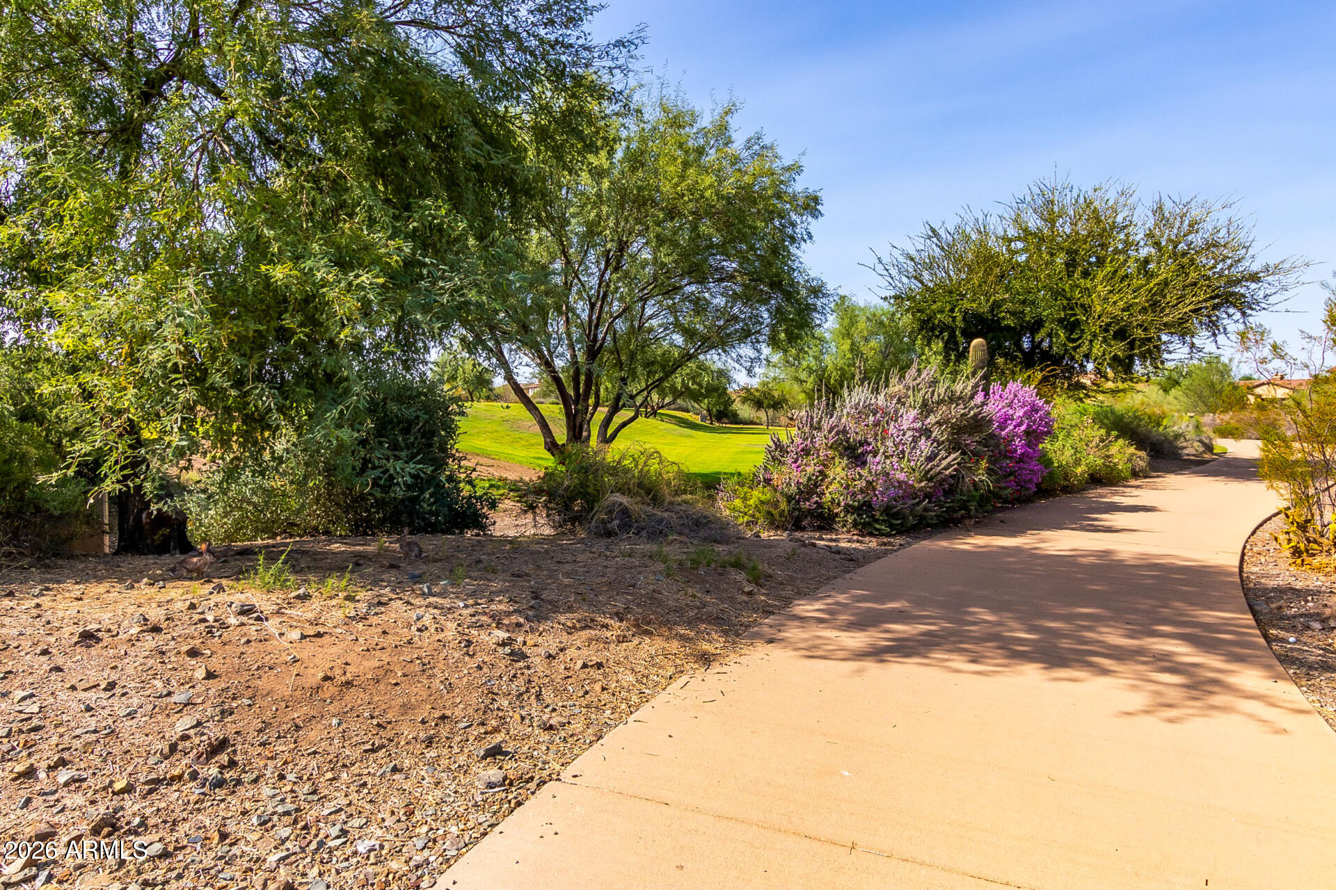 13058 West Lowden Road Peoria, AZ 85383 - Photo 120 of 122 a view of a yard with plants and trees