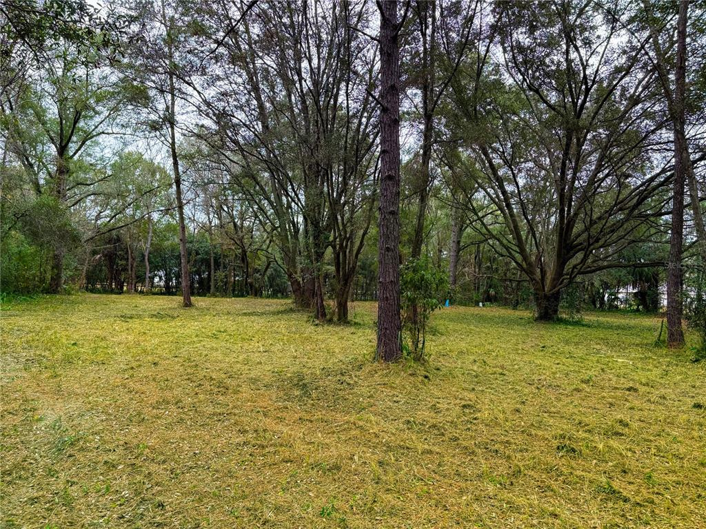 Tbd Northeast 70th Street Ocala, FL 34479 - Photo 2 of 4