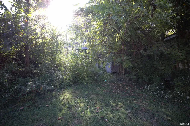 $15,500 | 106 South 1st Street, Elkville, IL 62932