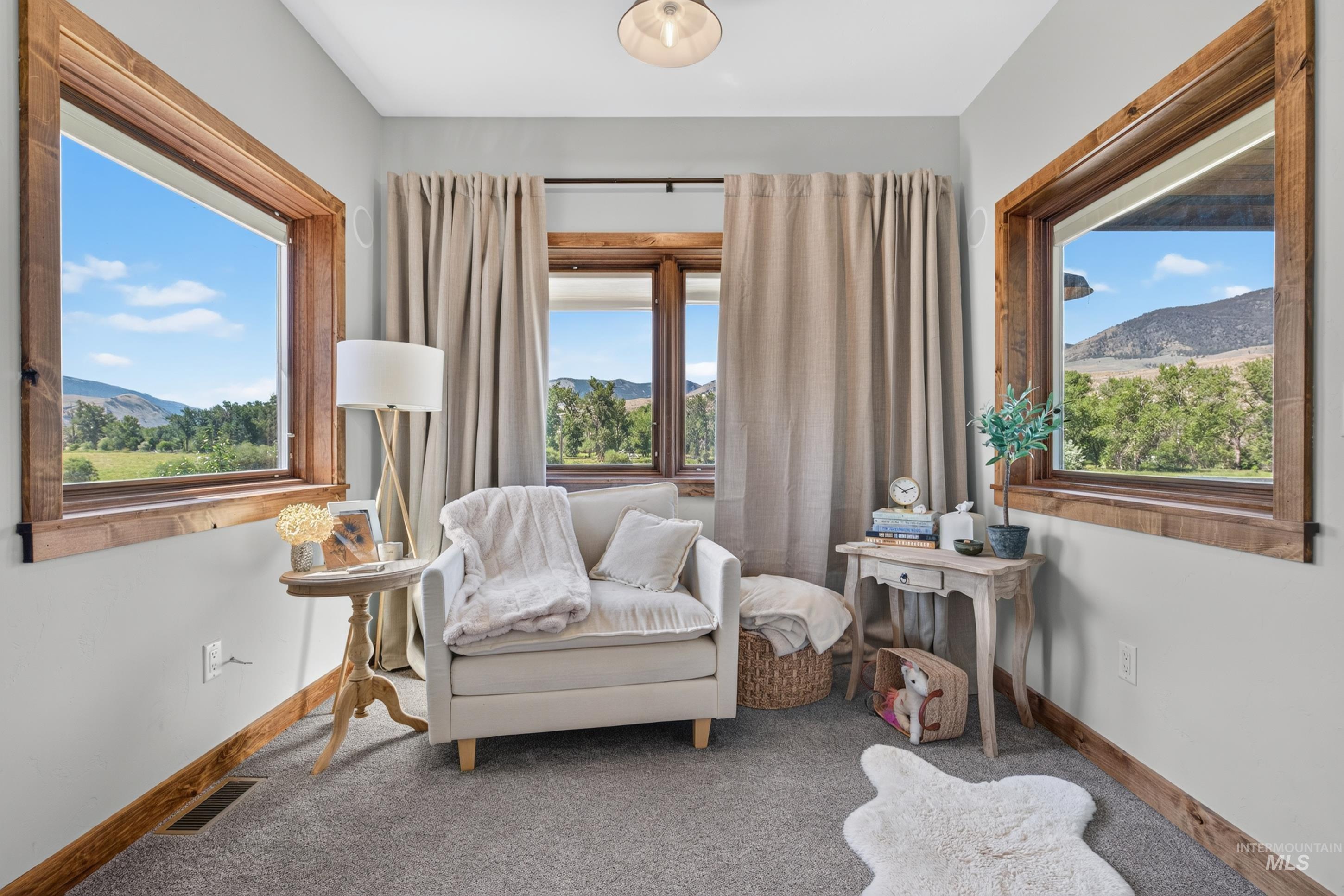 63 Mountain View Road Salmon, ID 83467 - Photo 29 of 50 Room featuring multiple windows with wood-finish trim, light-toned carpeting, and neutral wall paint