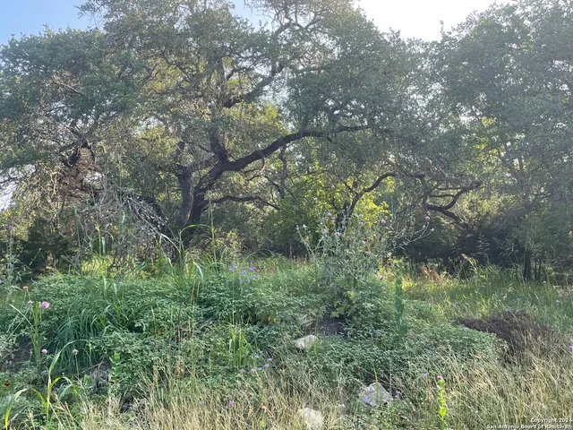 $499,000 | 1409 Lavaca, Canyon Lake, TX 78133