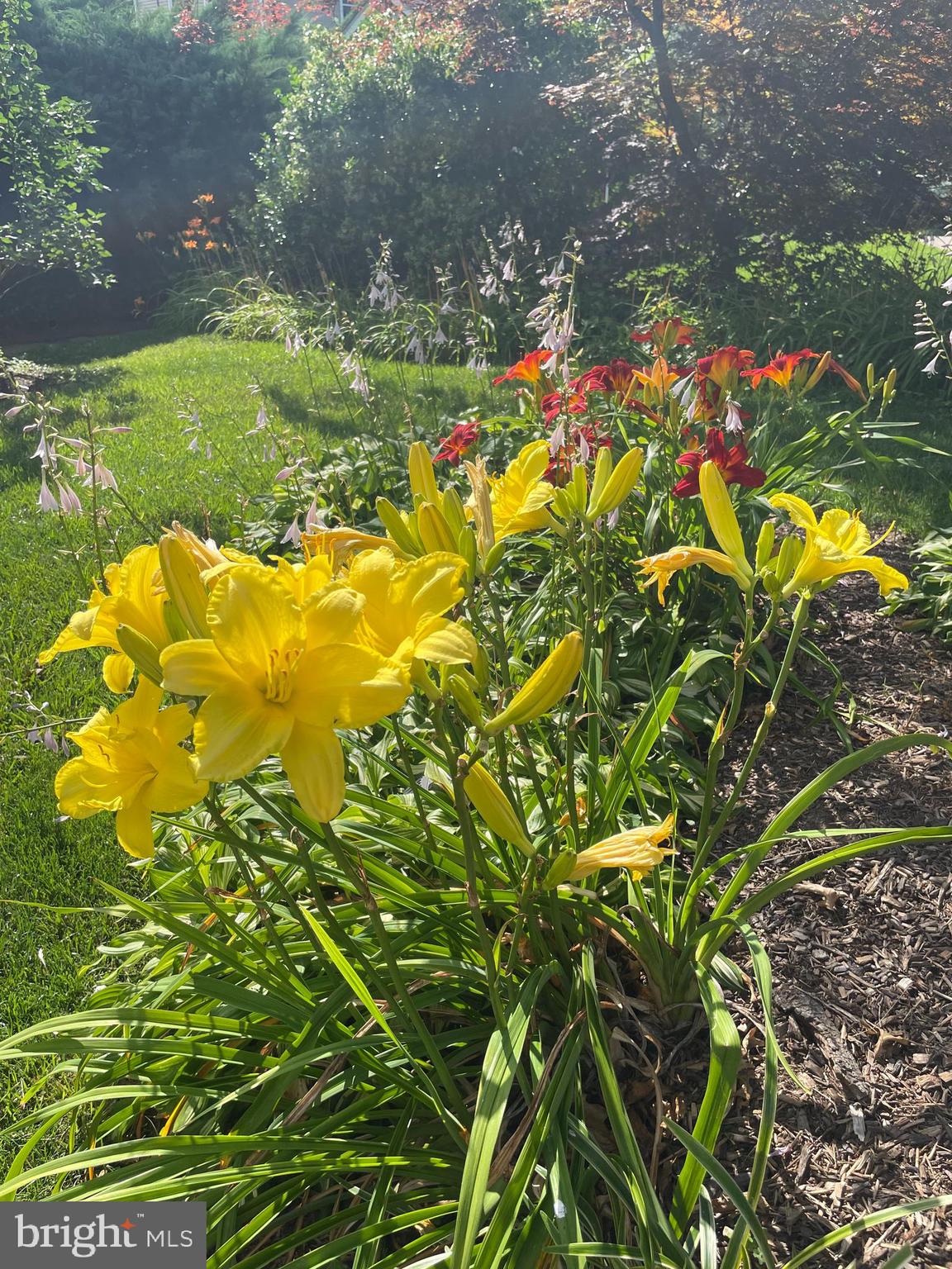 181 Westover Drive Delran, NJ 08075 - Photo 48 of 53