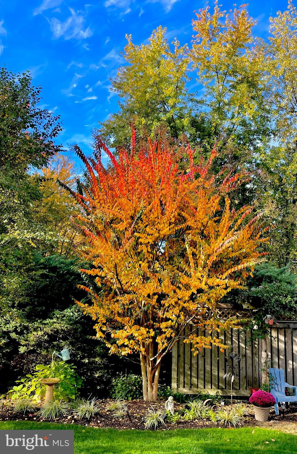 181 Westover Drive Delran, NJ 08075 - Photo 51 of 53