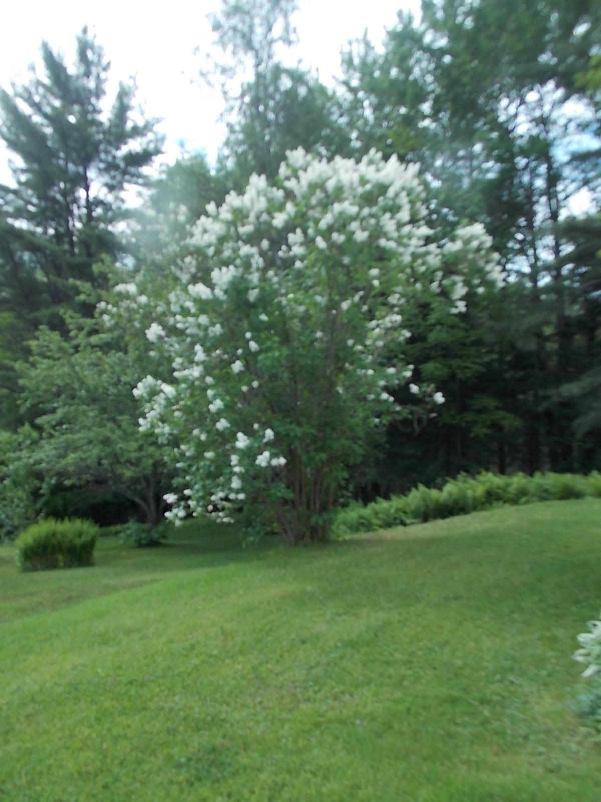 171 Solon Road North Anson, ME 04958 - Photo 6 of 21 DSCN1087