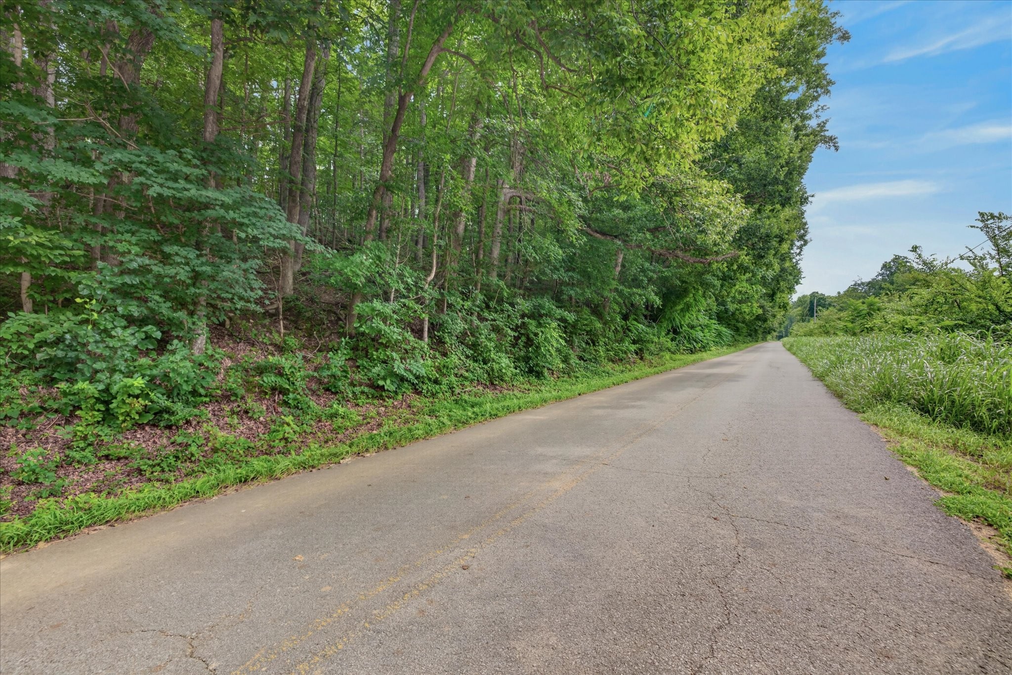 1 Whiteoak Road Stewart, TN 37175 - Photo 3 of 18 Gallery Image 3