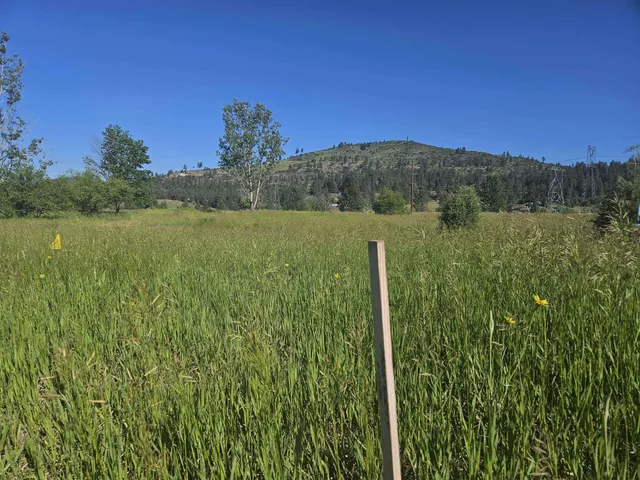 $300,000 | 24225 East Rosewood Avenue, Newman Lake, WA 99025