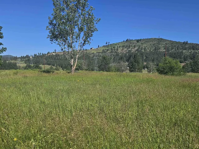 $300,000 | 24225 East Rosewood Avenue, Newman Lake, WA 99025