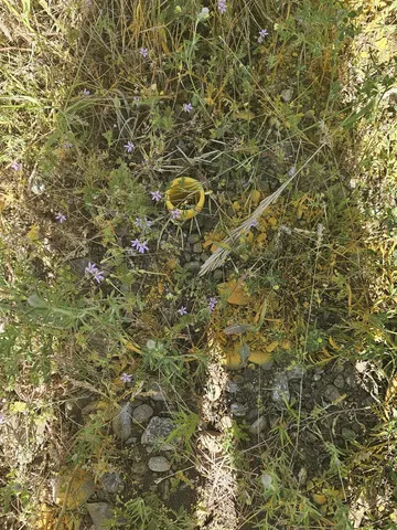 $300,000 | 24225 East Rosewood Avenue, Newman Lake, WA 99025