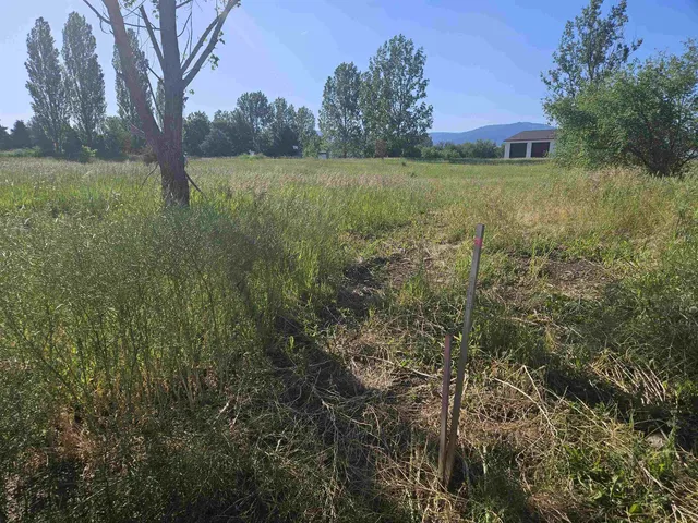 $300,000 | 24225 East Rosewood Avenue, Newman Lake, WA 99025