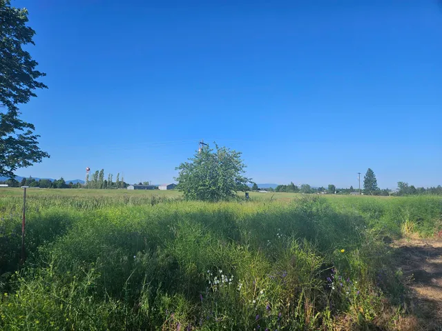 $300,000 | 24225 East Rosewood Avenue, Newman Lake, WA 99025