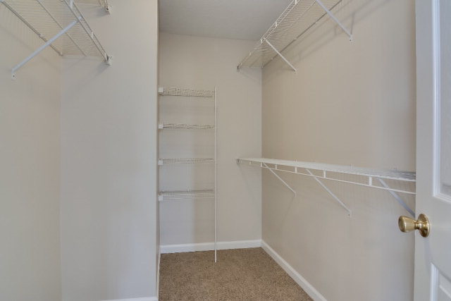 713 Cannock Loop Grovetown, GA 30813 - Photo 20 of 34 Owner's Closet