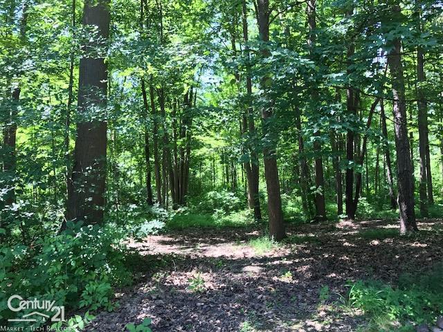 11176 North Pearson Road Utica, MI 48315 - Photo 11 of 48
