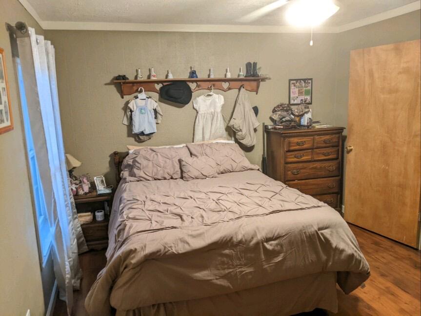 2180 Fish Hatchery Road Mohawk, TN 37810 - Photo 32 of 66 IMG_0411