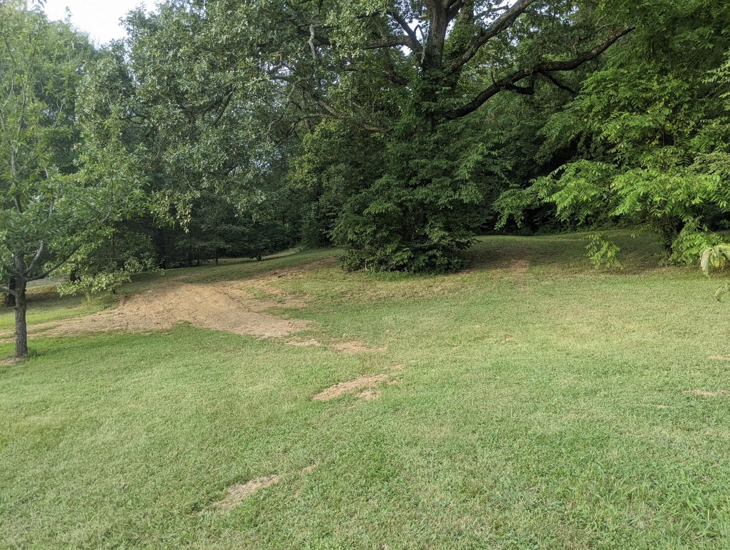 2180 Fish Hatchery Road Mohawk, TN 37810 - Photo 51 of 66 IMG_0553